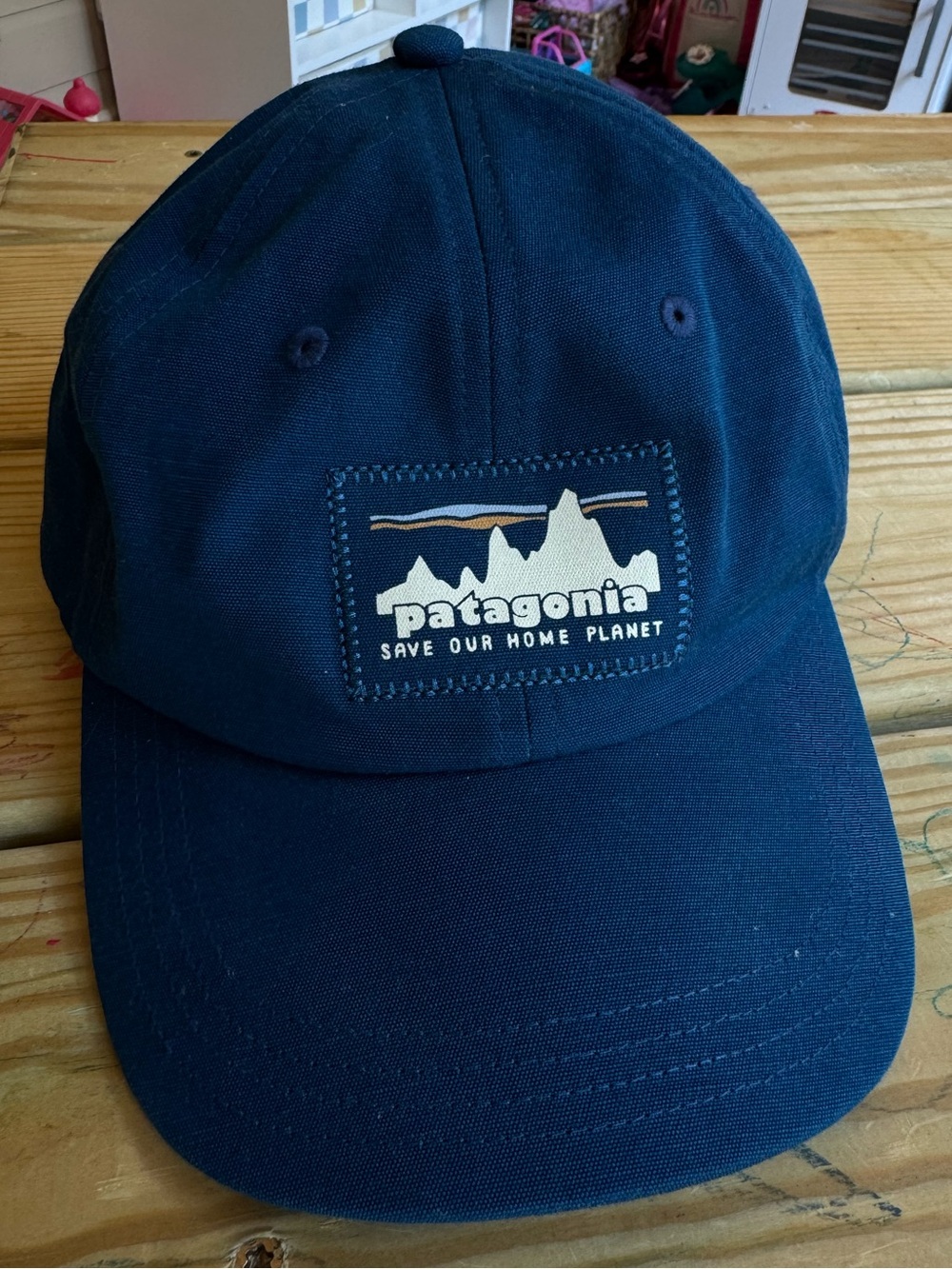 Patagonia ’73 Skyline Trad Hat Cap Lagom Blue “Save Our Home Planet”